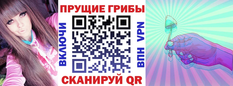 Псилоцибиновые грибы GOLDEN TEACHER  Почеп 
